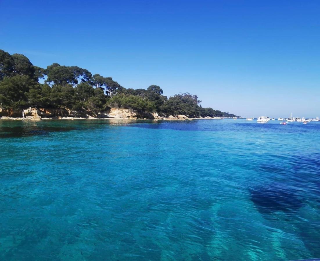 Un Havre De Paix Au Coeur De Mougins Leilighet Eksteriør bilde